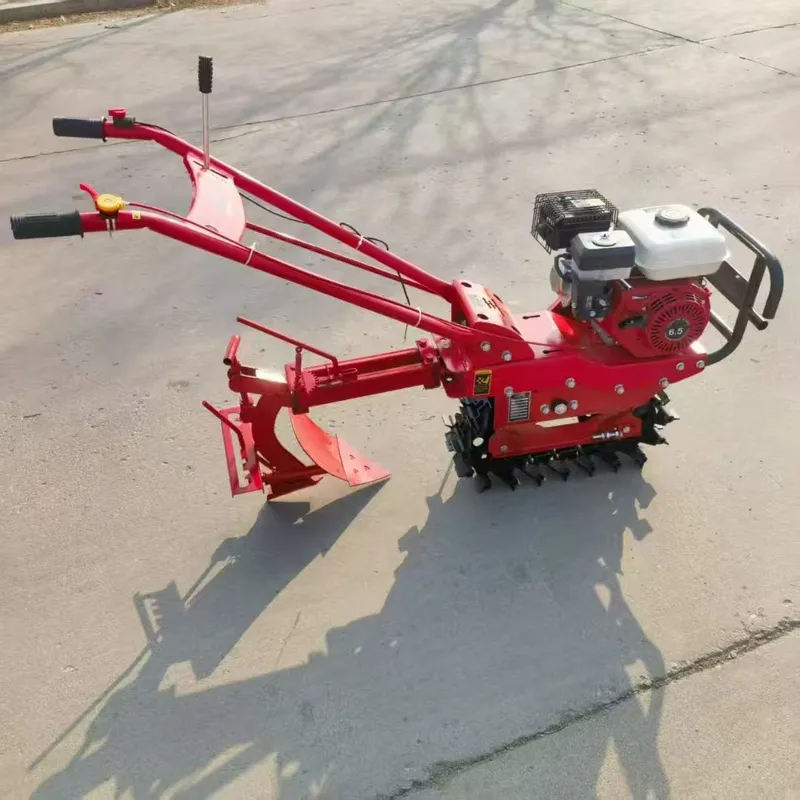 Ev Tipi Küçük Tek Zincirli Ray - Roller Chain incelemesi ve fiyatı